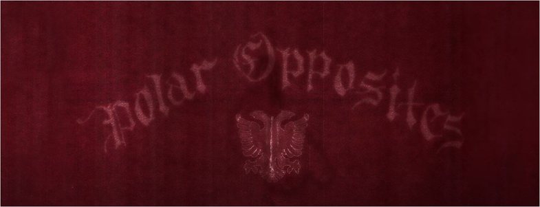 Shqiponja ne hyrjen e videoklipit te Drake