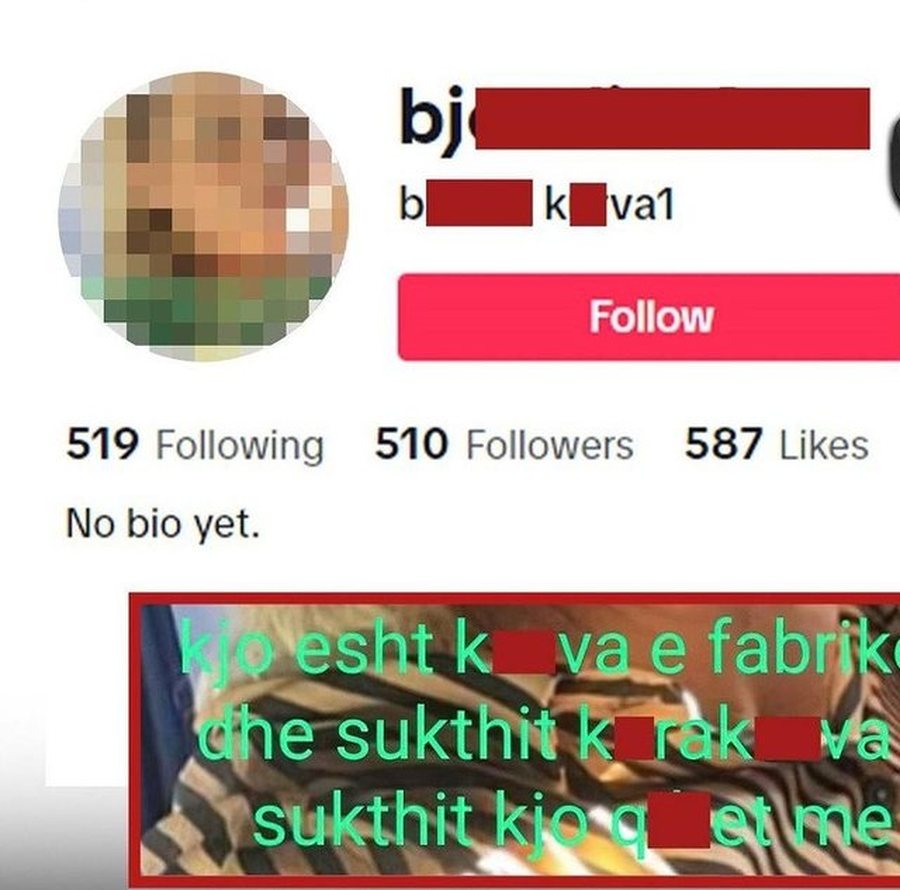 Adresë denigruese nga kolegët e punës në Tik Tok, detaje