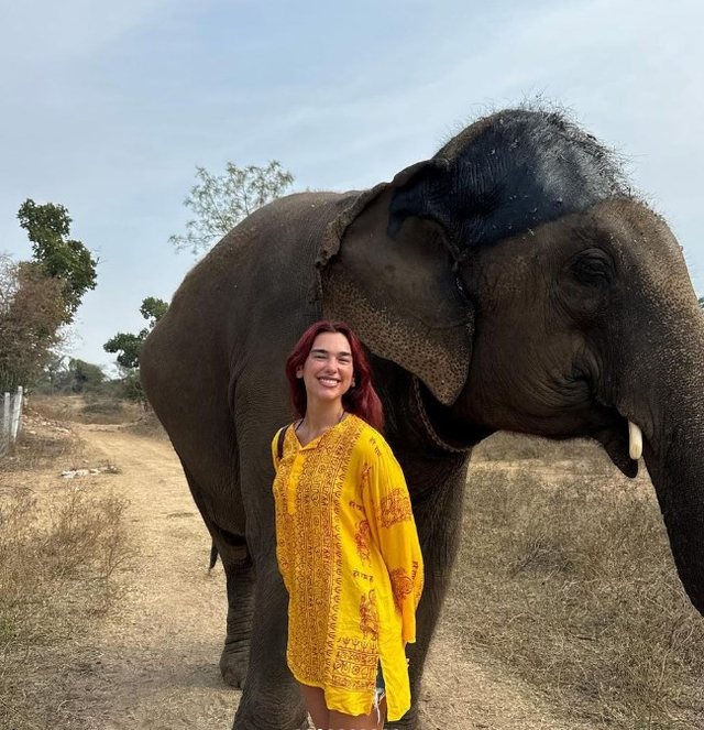 Dua Lipa e nis vitin më ndryshe nga të gjithë