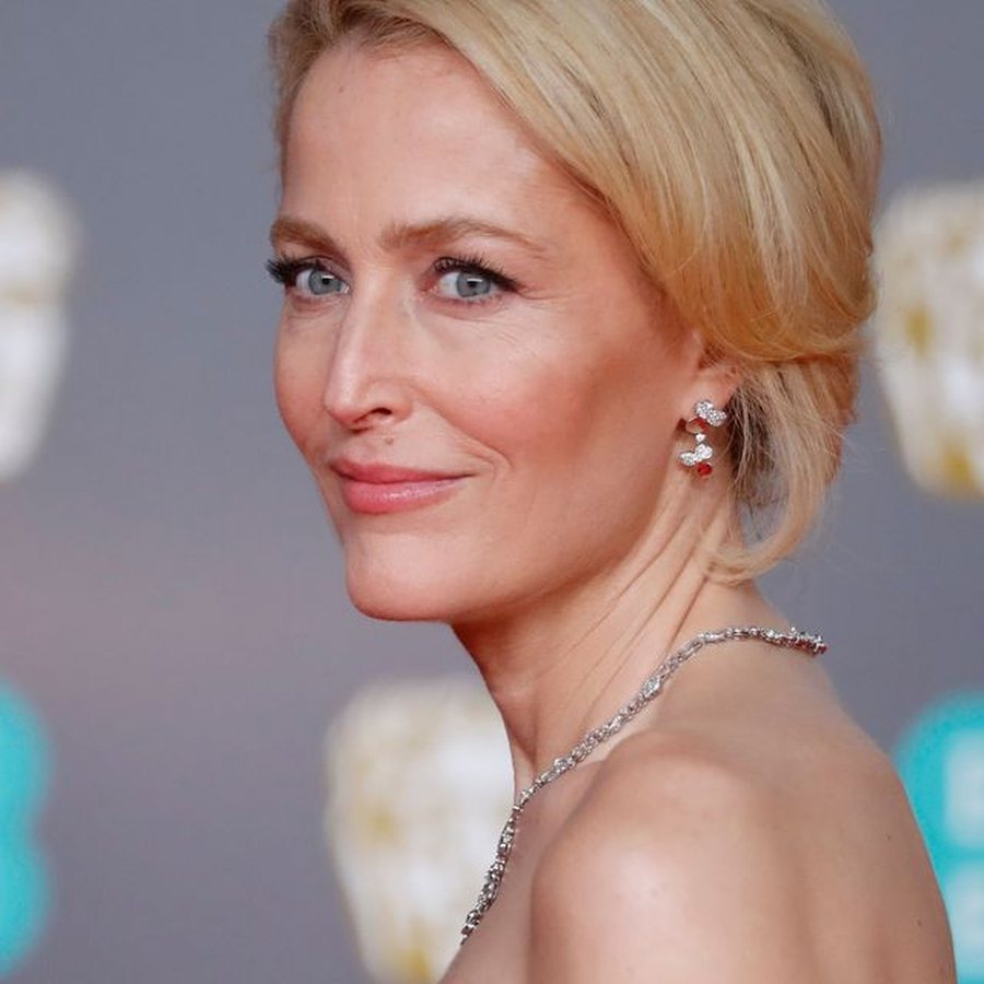 Fustani që i la pa fjalë të gjithë, Gillian Anderson