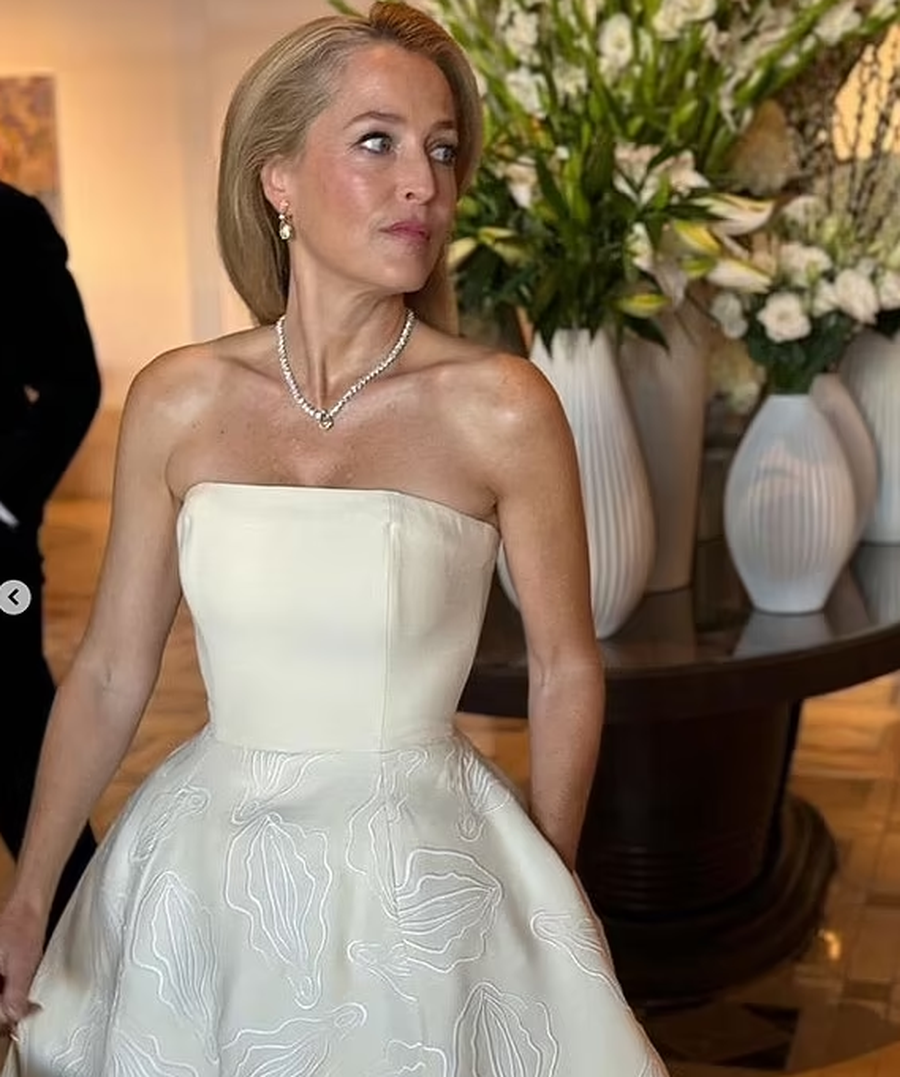 Fustani që i la pa fjalë të gjithë, Gillian Anderson