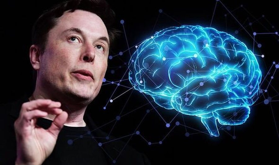 Musk jep lajmin për vendosjen e parë të çipit te një