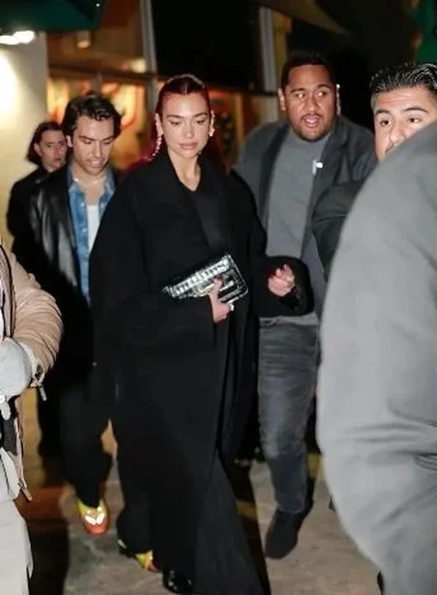 S`ka pak që u nda nga Roman Gavras, Dua Lipa lidhet me aktorin e njohur?!