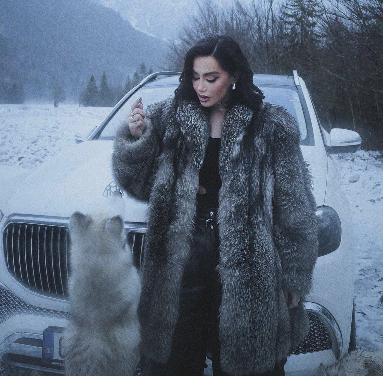 No description available.