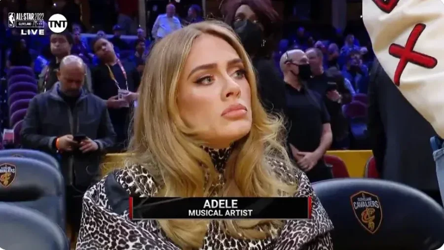 Pas memes virale; Adele zbulon të vërtetën!