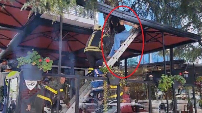 Vajza nga Venezuela qe u hodh nga hoteli ne Durres