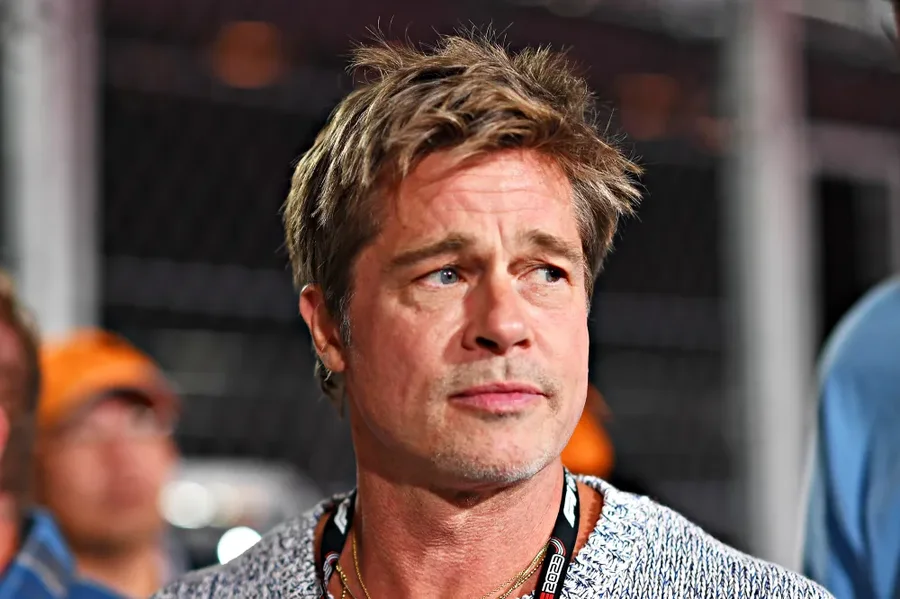 Brad Pitt akuzohet për vjedhje në vreshtin francez me Angelina Jolie!