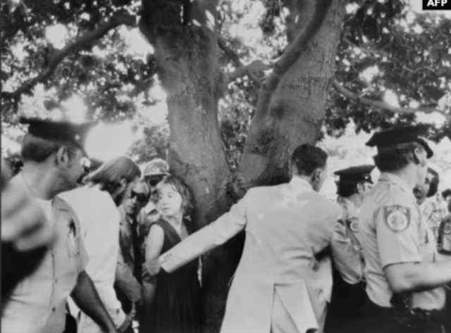 Historiku i vrasjeve dhe atentateve në SHBA