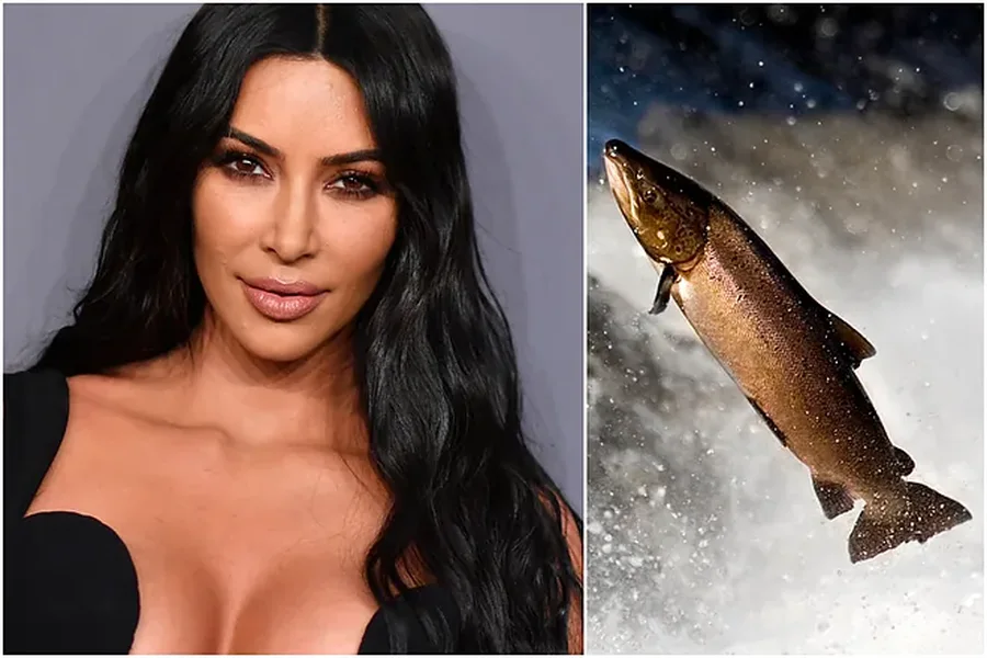 Kim Kardashian dhe trajtimi me spermën e salmonit kundër plakjes!
