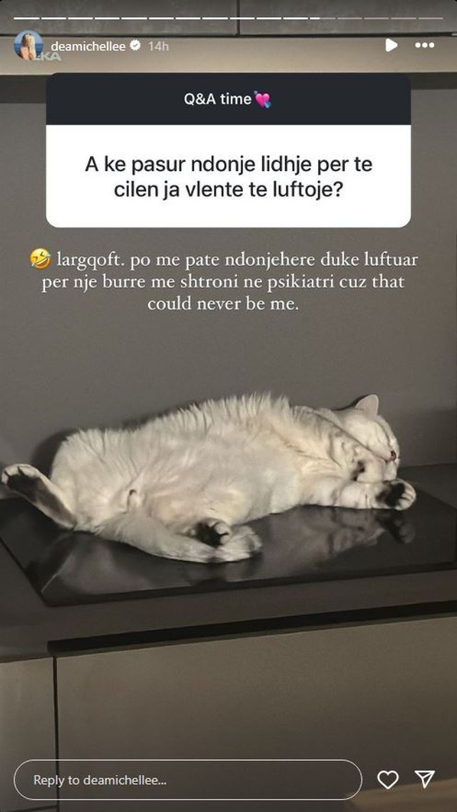 Befason Dea Mishel: “Po më patë duke luftuar për një