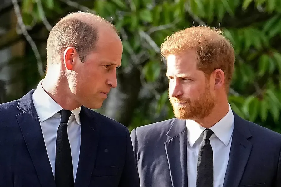 Princi William dhe Harry goditen rëndë nga skandali i Mohamed Al