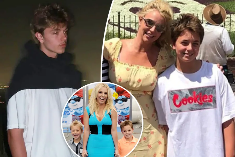 Britney Spears ribashkohet me djalin Jayden pas vitesh largimi: Ja