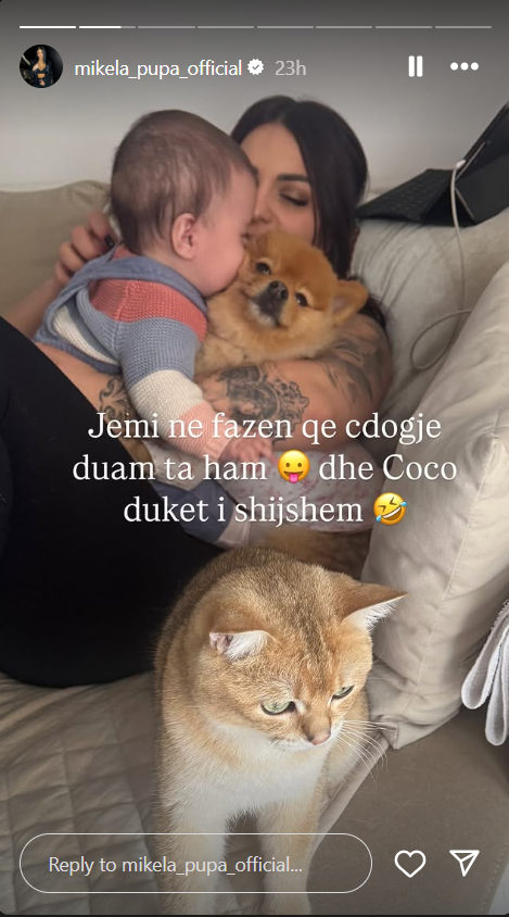 No description available.