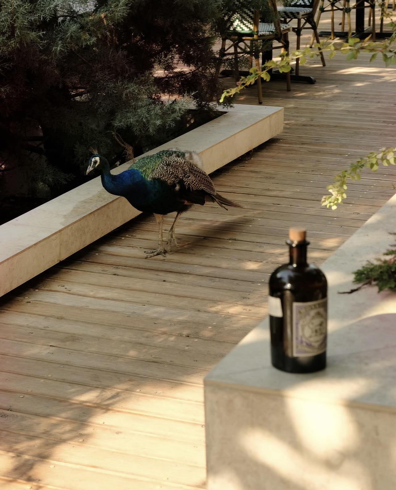 No description available.