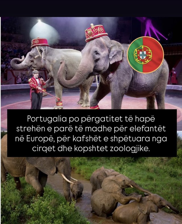 Lajme të mira nga e gjithë bota që askush nuk po i përmend!