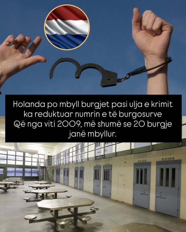 Lajme të mira nga e gjithë bota që askush nuk po i përmend!