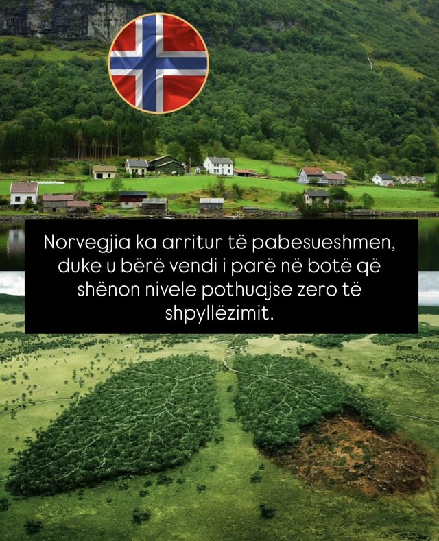 Lajme të mira nga e gjithë bota që askush nuk po i përmend!