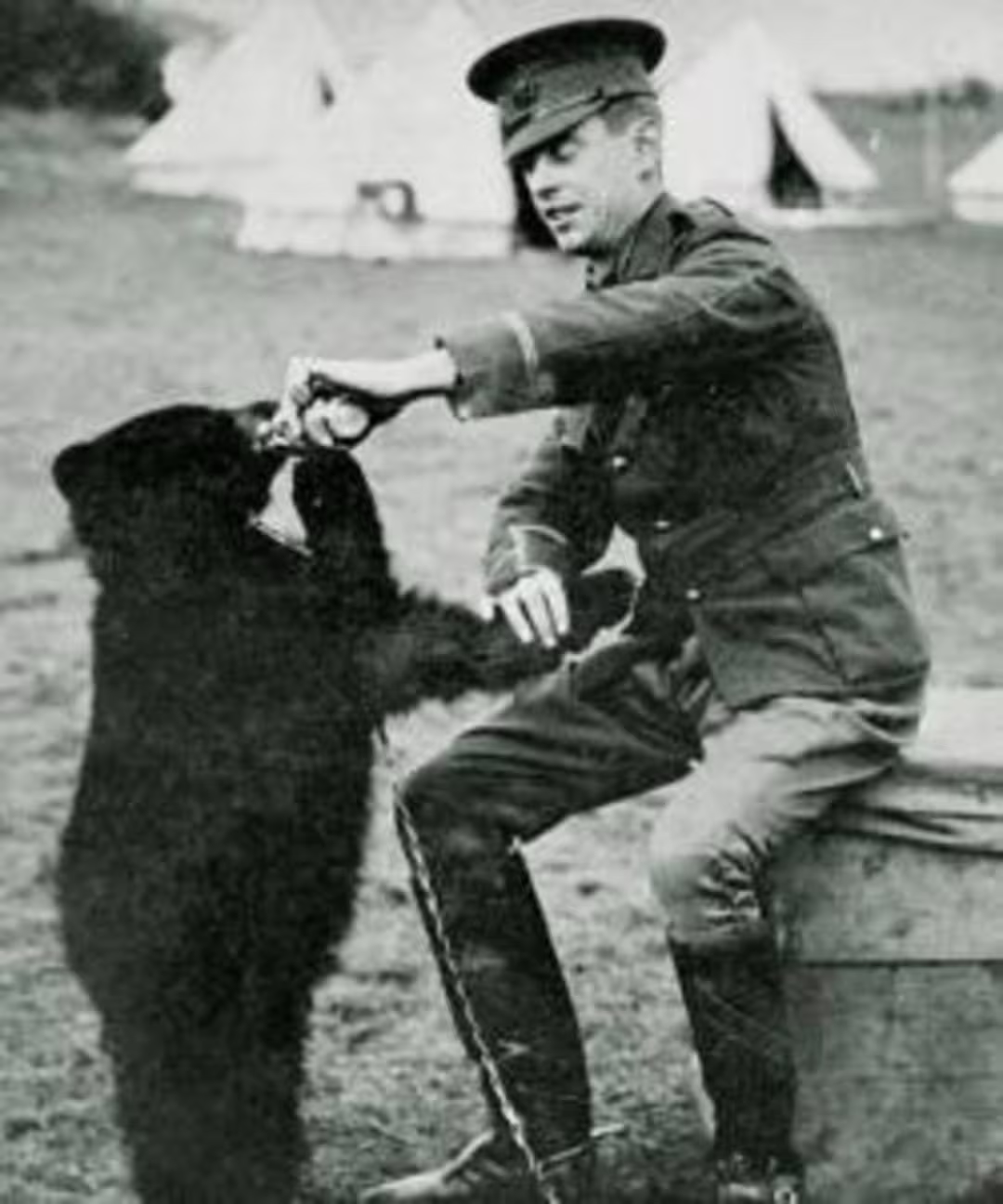 historia-qe-frymezoi-femijet-historia-e-vertete-e-winnie-the-pooh-ne-jeten-reale
